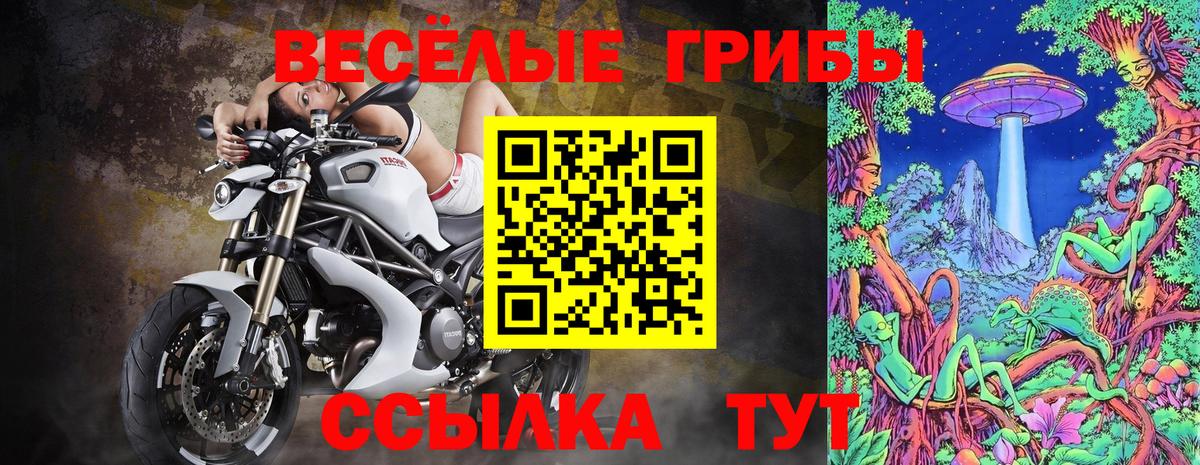 Галлюциногенные грибы MAGIC MUSHROOMS  Вход с VPN  Можайск 
