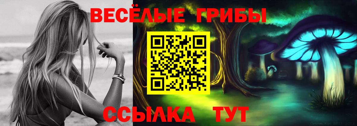 Псилоцибиновые грибы мухоморы Можайск